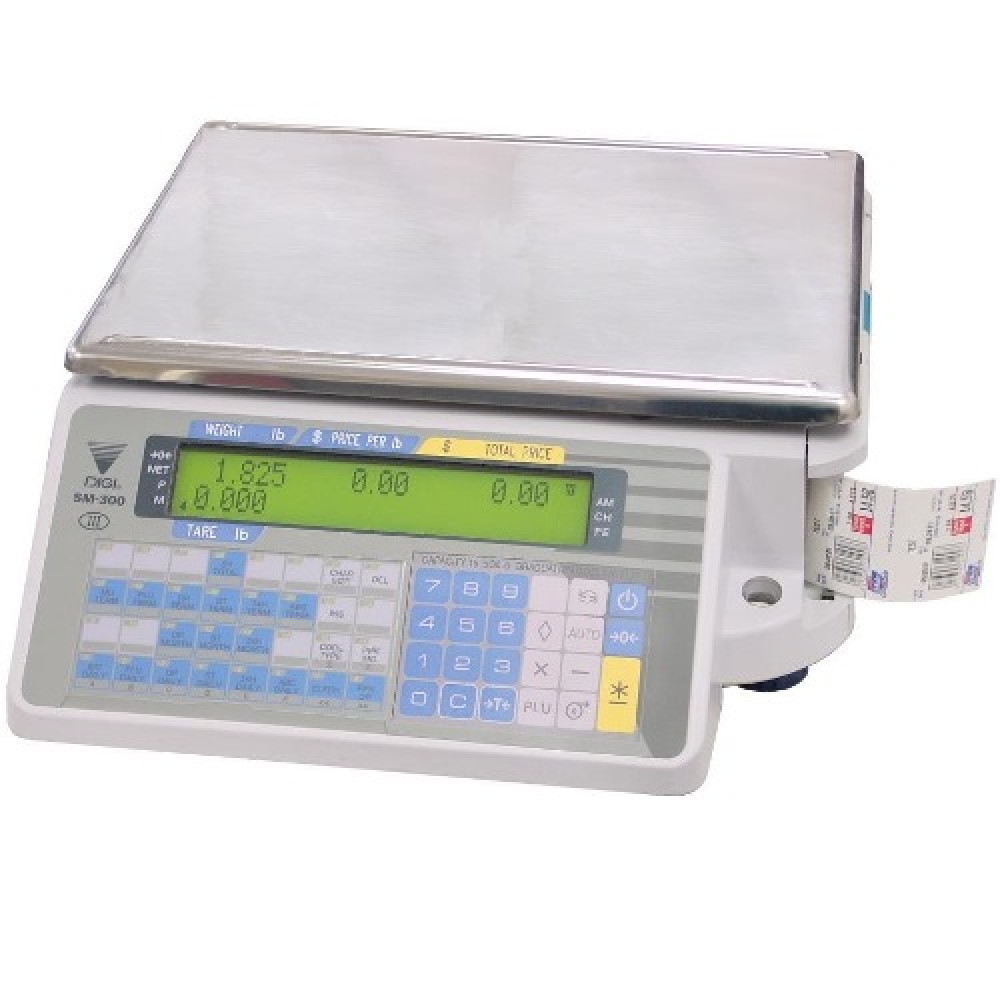 Весы с чекопечатью Digi SM 300 B Ethernet