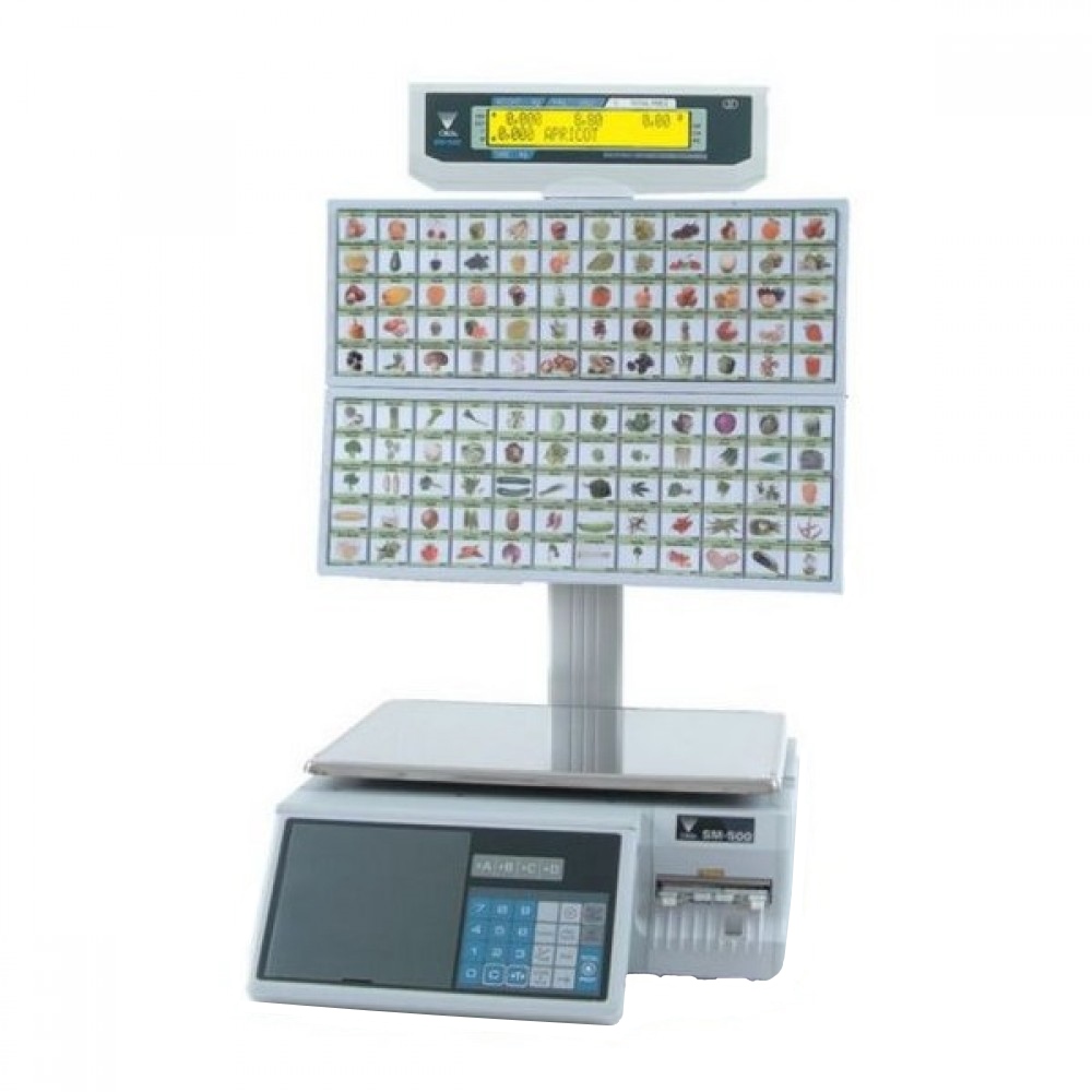 Весы с чекопечатью Digi SM-500 МК4 BS